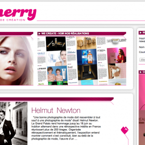 Agence Cherry- Rédaction de contenus web/print Agence Cherry- Rédaction de contenus web/print